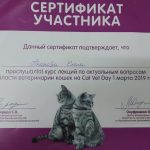 Сертификат ПЛАХОВОЙ ЕЛЕНЫ НИКОЛАЕВНЫ. Врача ветеринарной клиники «Дженк» находящейся в городе Москва, ул. Бирюлевская дом 49 корпус 4 строение 2
