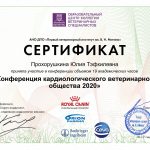 Сертификат ветеринарного врача Прохорушкиной Юлии
