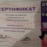 Сертификат ПРОХОРУШКИНОЙ ЮЛИИ ТЭФКИЛЕВНЫ. Врача ветеринарной клиники «Дженк» находящейся в городе Москва, ул. Бирюлевская дом 49 корпус 4 строение 2