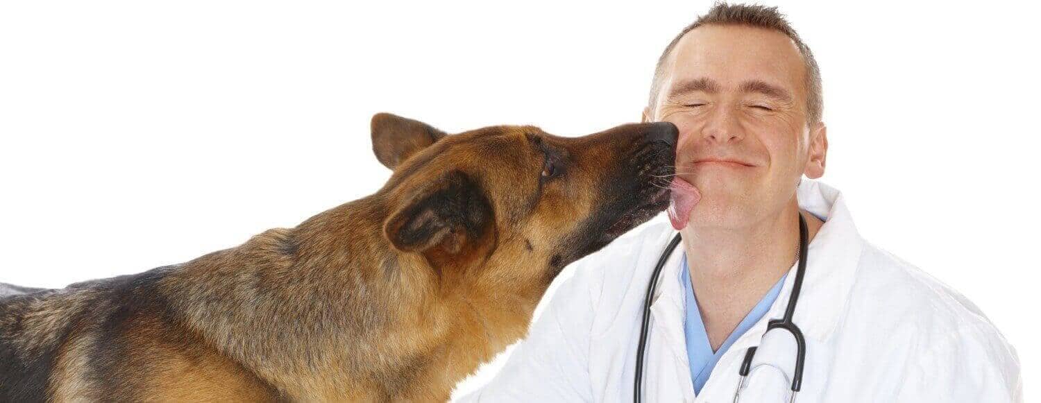 Доктор ветеринар