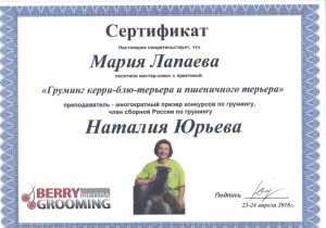 Сертификат грумера Марии Лопаевой работающей в зоосалоне "Василиса", находящийся по адресу улица Бирюлевская, д. 49, к 4, ст. 2