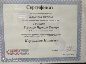 Сертификат грумера Оксана Ковалевой работающей в зоосалоне "Василиса", находящийся по адресу улица Бирюлевская, д. 49, к 4, ст. 2
