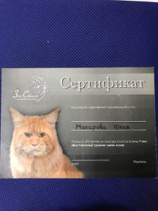 Сертификат грумера Юлии Макаровой работающей в зоосалоне "Василиса", находящийся по адресу улица Бирюлевская, д. 49, к 4, ст. 2
