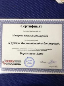 Сертификат грумера Юлии Макаровой работающей в зоосалоне "Василиса", находящийся по адресу улица Бирюлевская, д. 49, к 4, ст. 2