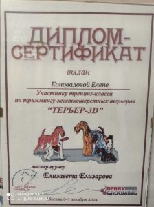 Сертификат грумера Елены Коноваловой работающей в зоосалоне "Василиса", находящийся по адресу улица Бирюлевская, д. 49, к 4, ст. 2