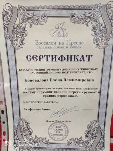 Сертификат грумера Елены Коноваловой работающей в зоосалоне "Василиса", находящийся по адресу улица Бирюлевская, д. 49, к 4, ст. 2
