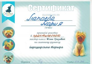 Сертификат грумера Марии Лопаевой работающей в зоосалоне "Василиса", находящийся по адресу улица Бирюлевская, д. 49, к 4, ст. 2