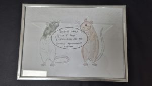 Клинический случай у крысы с обширной опухолью молочной железы\ОМЖ