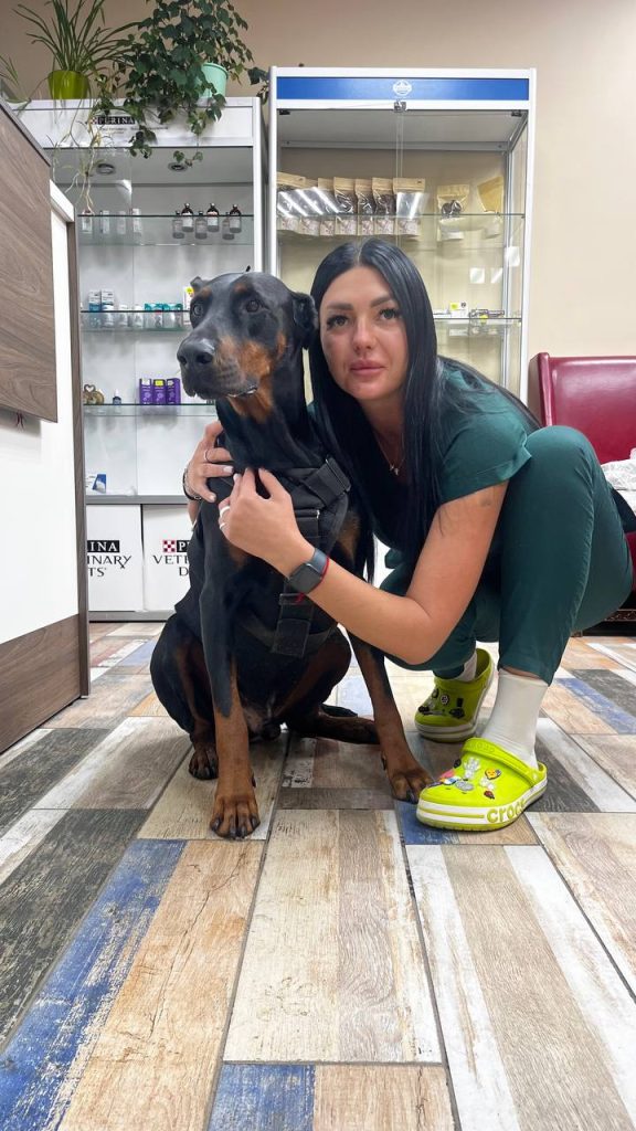 Булгакова Елена Владленовна