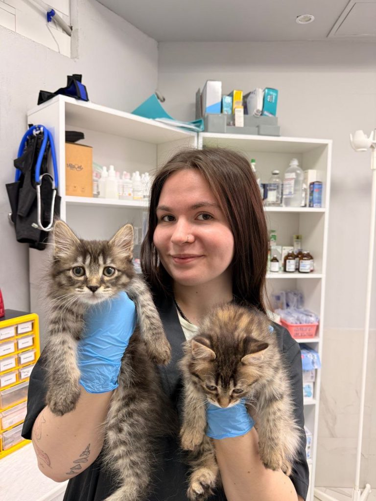 Дерябина Анастасия Олеговна