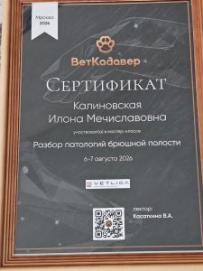Сертификат Калиновская Илона Мечиславовна
