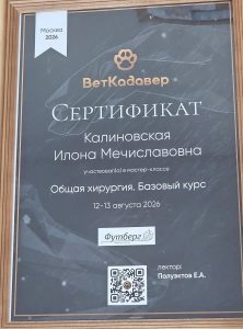 Сертификат Калиновская Илона Мечиславовна
