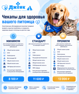 Запускаем чекапы для собак и кошек в нашем филиале на Москворечье