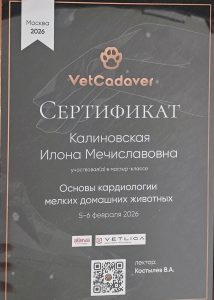Сертификат Калиновская Илона Мечиславовна