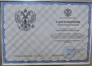 Сертификат Калиновская Илона Мечиславовна