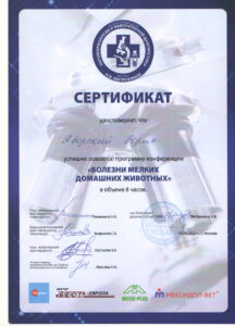 Сертификат Яворский Борис Николаевич