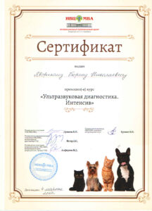 Сертификат Яворский Борис Николаевич