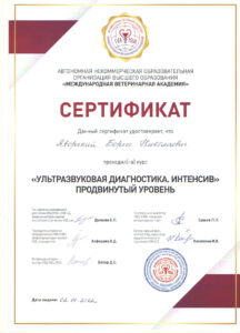 Сертификат Яворский Борис Николаевич