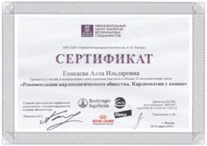 Сертификат Енакаева Алла Ильдяровна