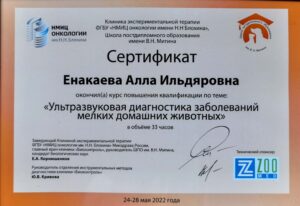 Сертификат Енакаева Алла Ильдяровна