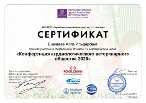 Сертификат Енакаева Алла Ильдяровна