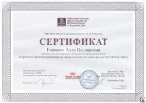 Сертификат Енакаева Алла Ильдяровна