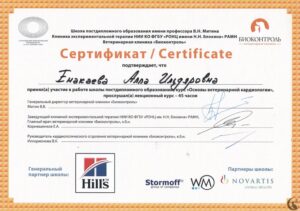 Сертификат Енакаева Алла Ильдяровна