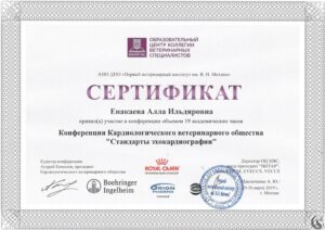 Сертификат Енакаева Алла Ильдяровна