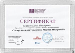 Сертификат Енакаева Алла Ильдяровна