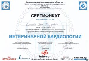 Сертификат Енакаева Алла Ильдяровна