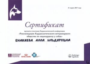 Сертификат Енакаева Алла Ильдяровна