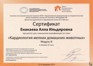 Сертификат Енакаева Алла Ильдяровна