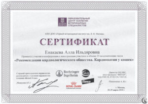 Сертификат Енакаева Алла Ильдяровна
