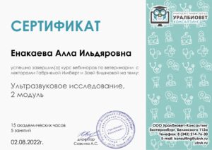 Сертификат Енакаева Алла Ильдяровна