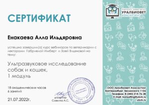 Сертификат Енакаева Алла Ильдяровна