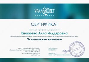 Сертификат Енакаева Алла Ильдяровна