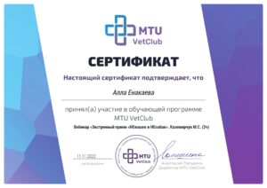 Сертификат Енакаева Алла Ильдяровна