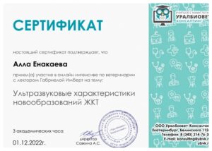 Сертификат Енакаева Алла Ильдяровна