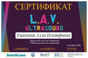 Сертификат Енакаева Алла Ильдяровна