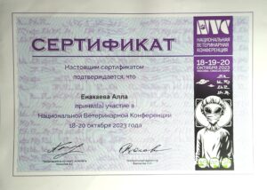 Сертификат Енакаева Алла Ильдяровна