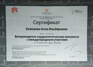 Сертификат Енакаева Алла Ильдяровна