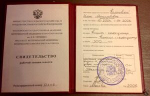 Сертификат Калиновская Илона Мечиславовна