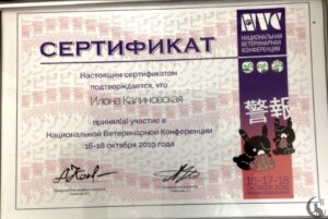 Сертификат Калиновская Илона Мечиславовна