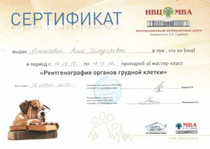 Сертификат Енакаева Алла Ильдяровна