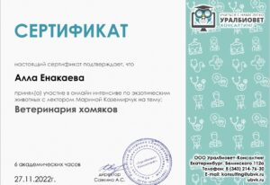 Сертификат Енакаева Алла Ильдяровна