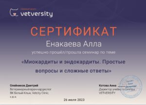Сертификат Енакаева Алла Ильдяровна