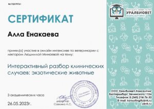 Сертификат Енакаева Алла Ильдяровна