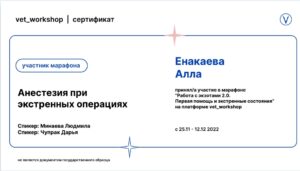 Сертификат Енакаева Алла Ильдяровна