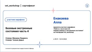 Сертификат Енакаева Алла Ильдяровна