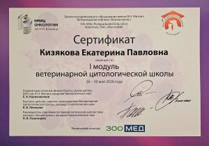 Сертификат Кизякова Екатерина Павловна